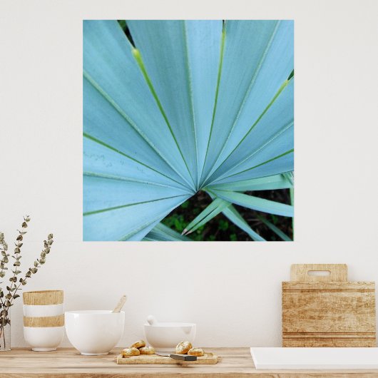 Poster Palmier gris Bismarck Gros plan Imprimer (Cuisine)