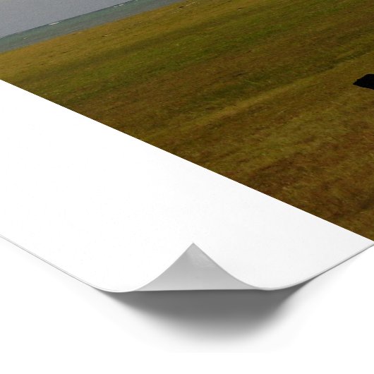 Poster Palmier hawaïen (Coin)