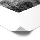 Poster Palmier hawaïen (Coin)