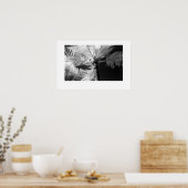 Poster Palmier hawaïen (Cuisine)