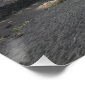 Poster Palmier incliné, Lanzarote (Coin)