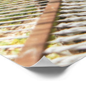 Poster Palmier le matin (Coin)