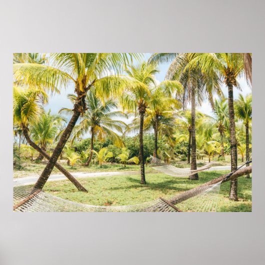 Poster Palmier le matin (Devant)