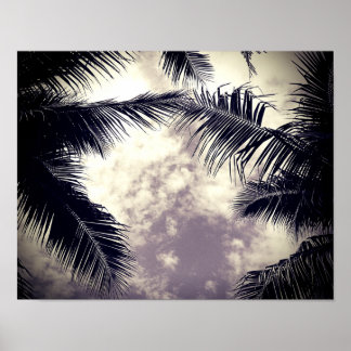 Poster Palmier noir et blanc photo du décor de plage