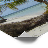 Poster Palmier solitaire sur une plage cubaine (Coin)