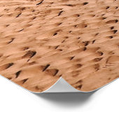 Poster Palmier sur la plage le matin (Coin)