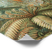 Poster Palmier tropical vintage, Botanique rétro (Coin)