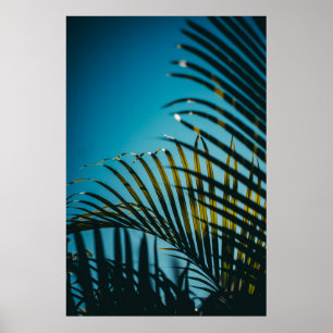 Poster Palmier vert plante sous ciel bleu le matin