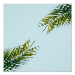 Poster Palmier Vert Tropical sur Fond Bleu Clair