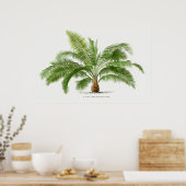 Poster Palmier vintage, illustration (Cuisine)