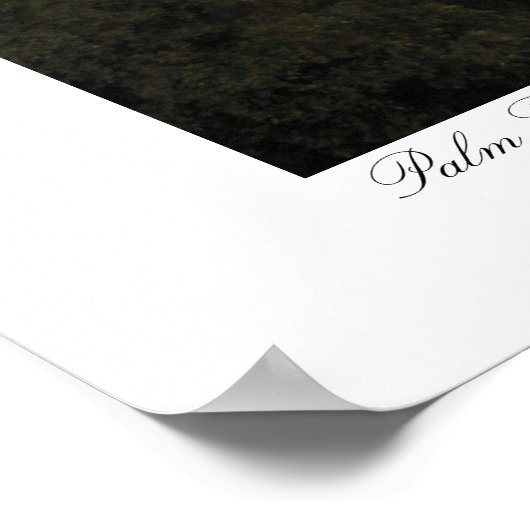 Poster Palmiers (Coin)