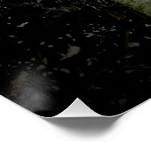 Poster Palmiers (Coin)