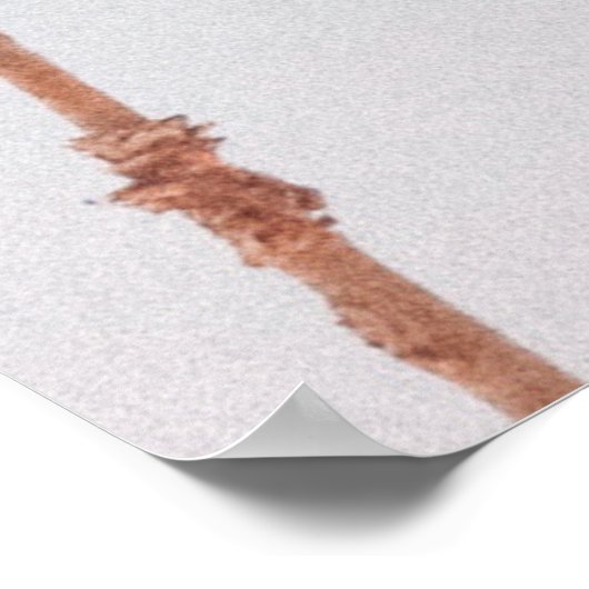 POSTER PALMIERS (Coin)