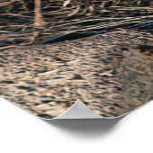 Poster Palmiers (Coin)