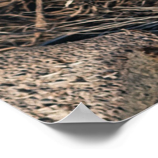 Poster Palmiers (Coin)