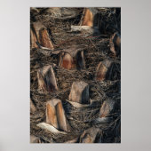 Poster Palmiers (Devant)