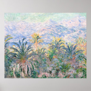 Poster Palmiers à Bordighera (1884) par Claude Monet