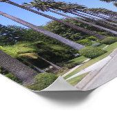 Poster Palmiers à Los Angeles (Coin)