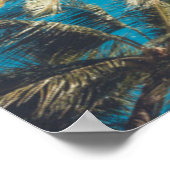 Poster Palmiers à Tropical Beach Vintage (Coin)