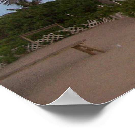 Poster Palmiers au paradis (Coin)