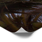 Poster Palmiers au paradis (Coin)