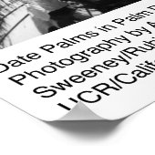 Poster Palmiers dattes dans le désert de Palm par Ansel A (Coin)