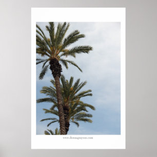Poster Palmiers de Californie