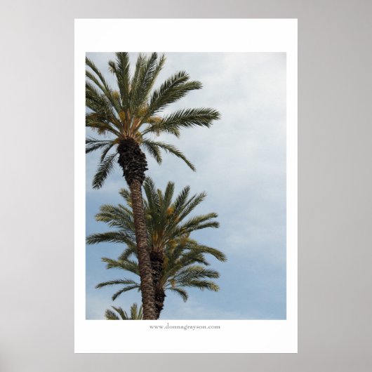 Poster Palmiers de Californie (Devant)