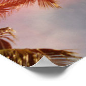 Poster Palmiers de coco contre le soleil (Coin)