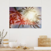 Poster Palmiers de coco contre le soleil (Cuisine)