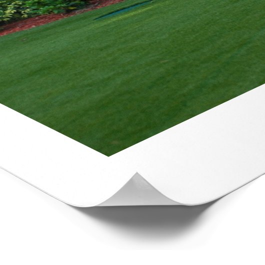 Poster Palmiers de Floride (Coin)