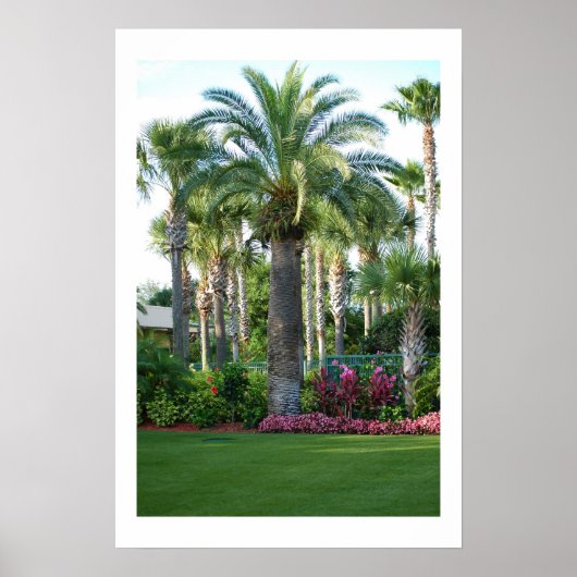 Poster Palmiers de Floride (Devant)