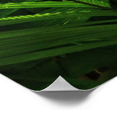 Poster Palmiers de la forêt pluviale (Coin)
