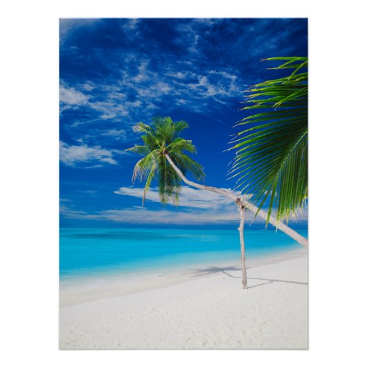 Poster Palmiers de plage Tropical Blue Exotic Bahamas (Devant)