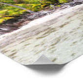 Poster Palmiers de Rangiroa (Coin)