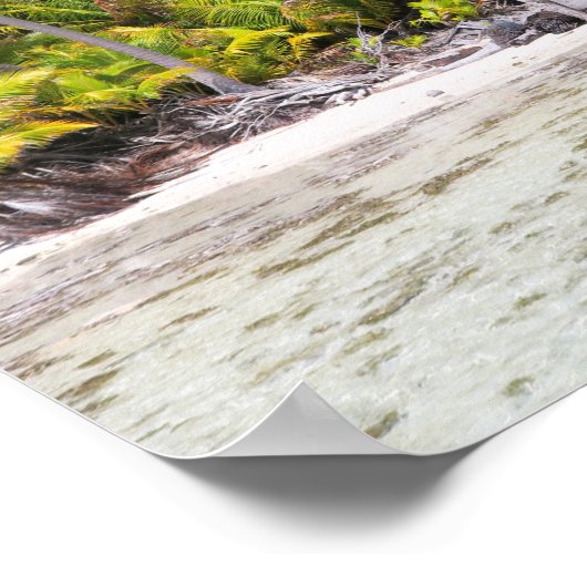 Poster Palmiers de Rangiroa (Coin)