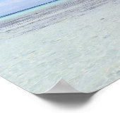 Poster Palmiers de Rangiroa (Coin)