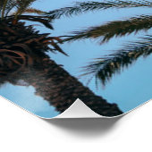 Poster Palmiers d'été (Coin)