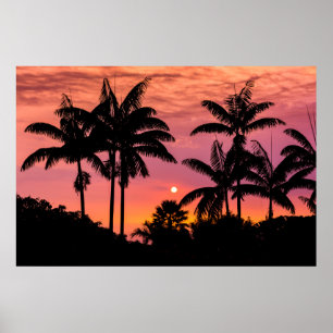 Poster Palmiers en silhouette, Hawaii