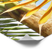 Poster Palmiers hawaïens (Coin)