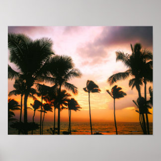Poster Palmiers Hawaiian Exotic Beach