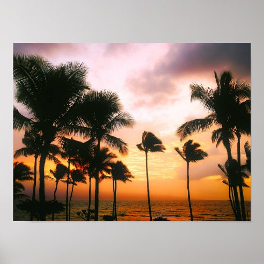 Poster Palmiers Hawaiian Exotic Beach (Devant)