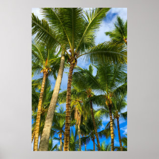 Poster Palmiers Hawaiian Exotic Beach