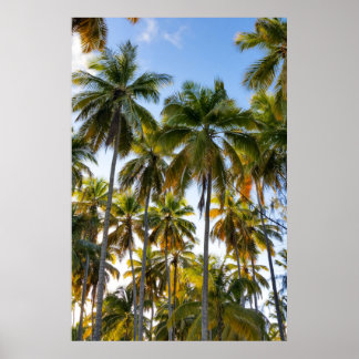 Poster Palmiers Hawaiian Exotic Beach