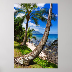 Poster Palmiers le long de la plage de Hideaways