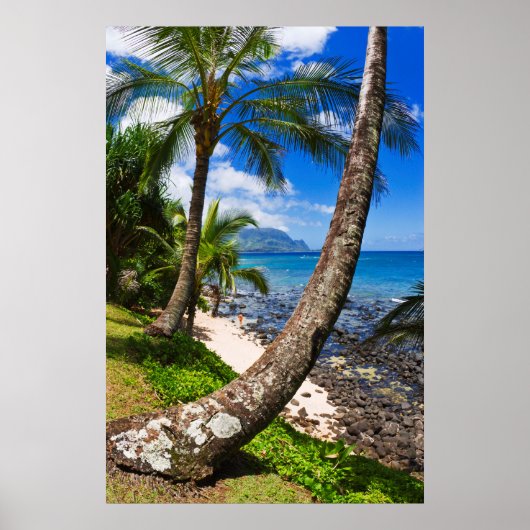 Poster Palmiers le long de la plage de Hideaways (Devant)