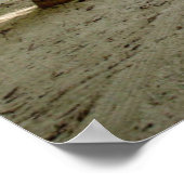 Poster Palmiers | Moody Sky (Coin)