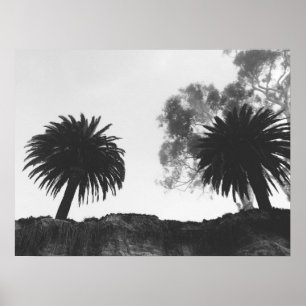 Poster Palmiers noirs et blancs à flanc de falaise