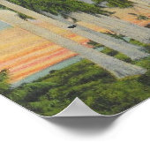 Poster Palmiers royaux de Floride (Coin)