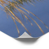 Poster Palmiers soufflant dans la brise estivale (Coin)